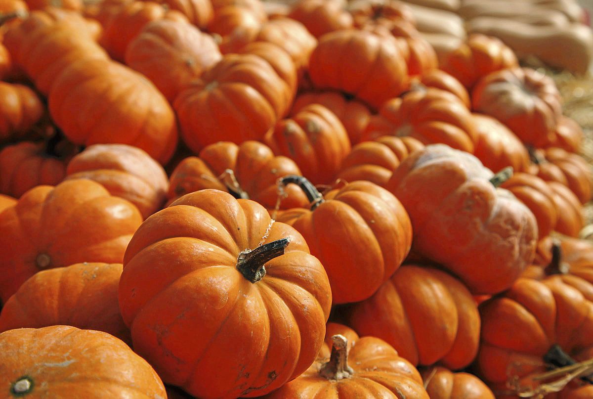 Pleasant Valley Farms